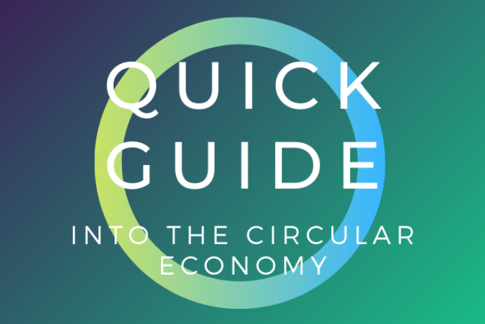 Quick guide into the circular economy