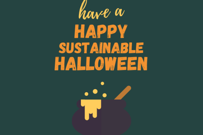 3 tips for a more sustainable Halloween 